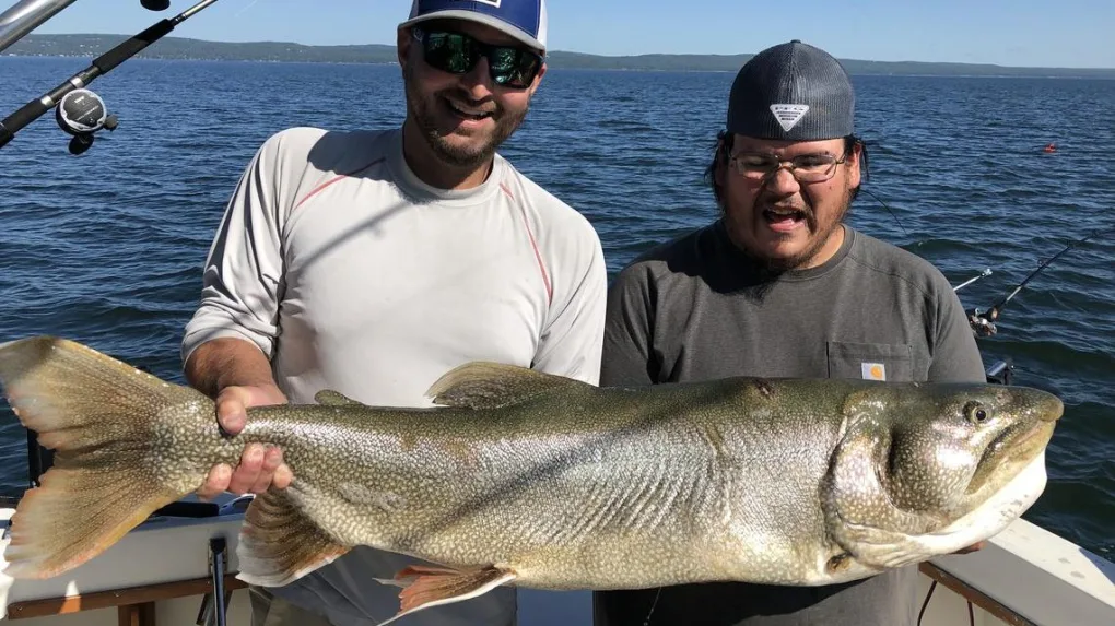 Potential State Record Lake Trout with FishNorth MN!
